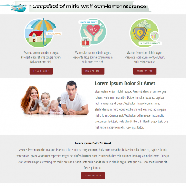 Home Insurance HTML Template 2