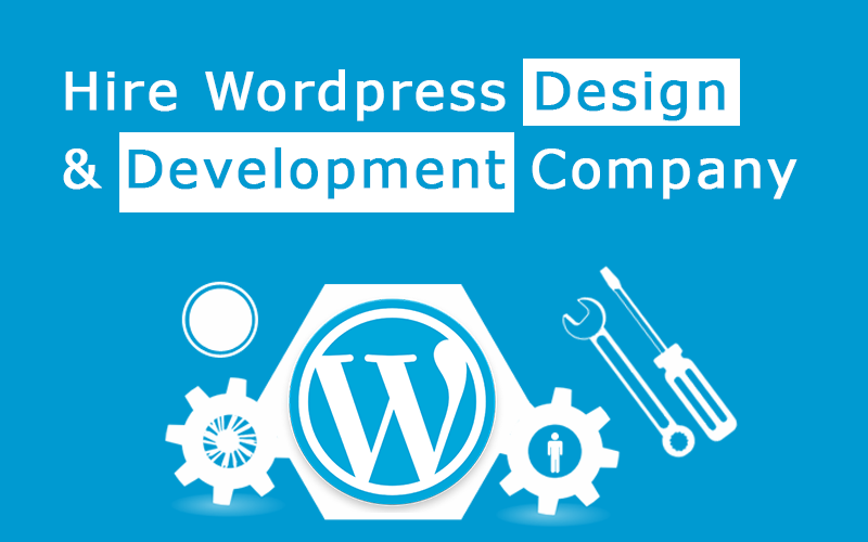 hire the USA best wordpress design and development company